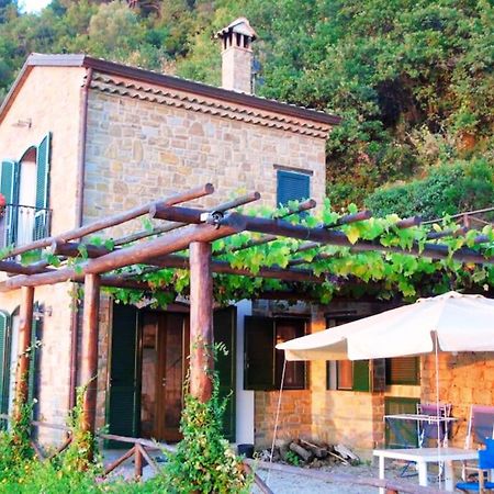 Bellezza In Cilento Panoramic Apts Castellabate Exterior foto