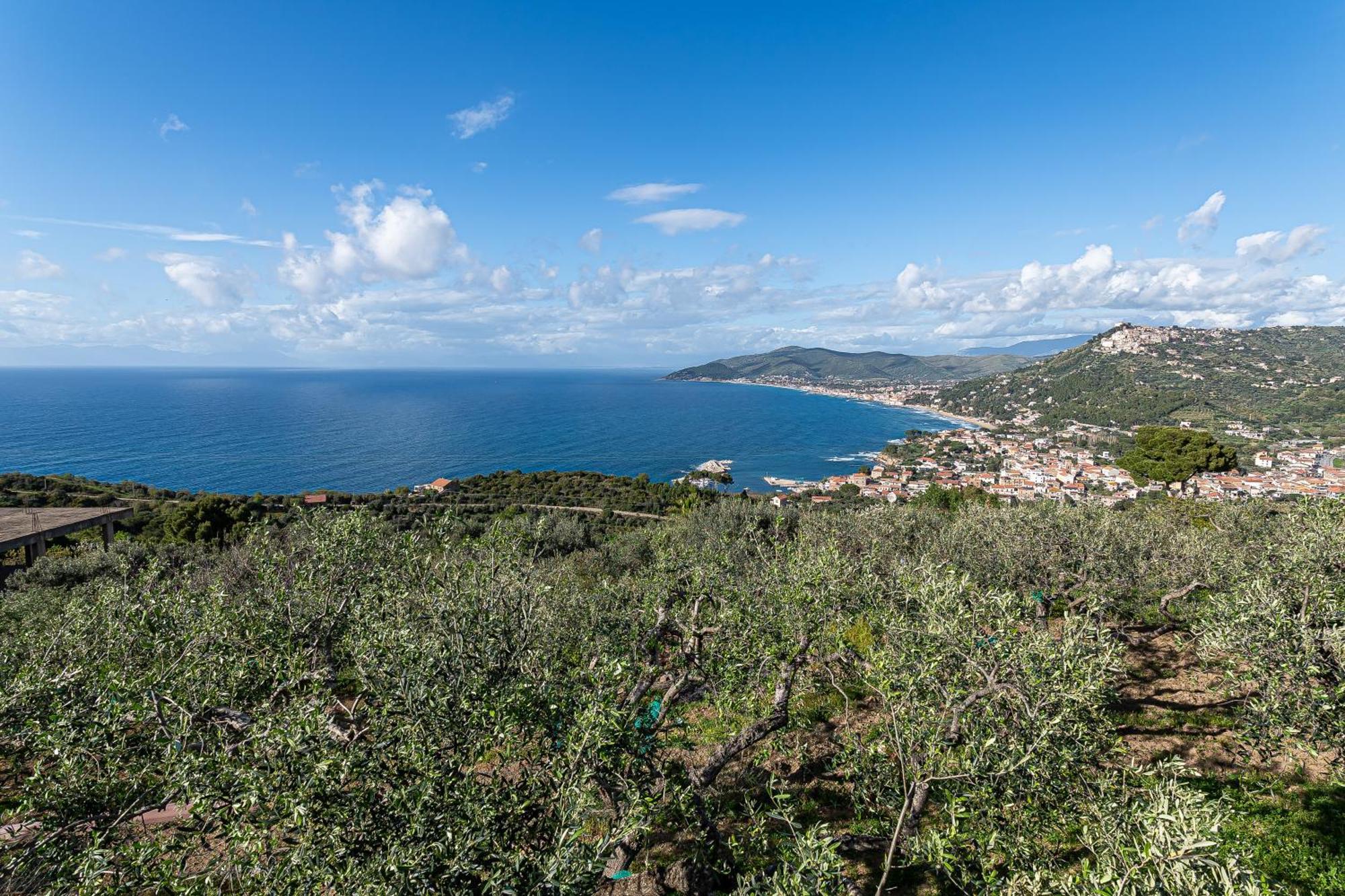 Bellezza In Cilento Panoramic Apts Castellabate Exterior foto
