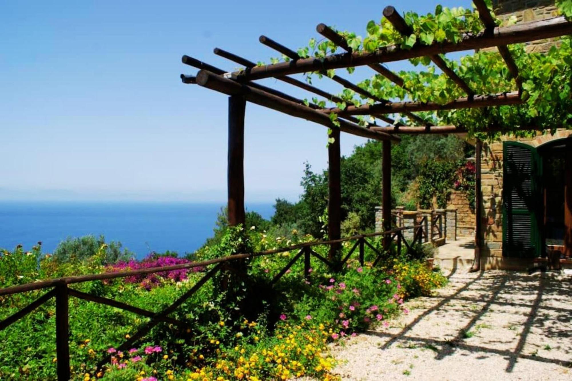 Bellezza In Cilento Panoramic Apts Castellabate Exterior foto